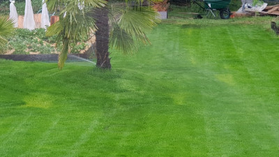photo 4.jpg