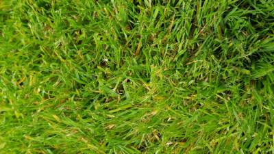 photo 4.jpg
