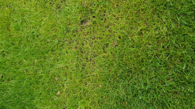 photo 5.jpg