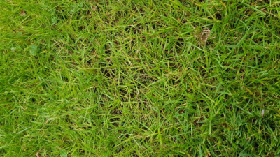 photo 6.jpg