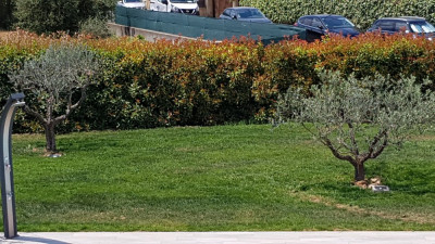 20190622_135434.jpg