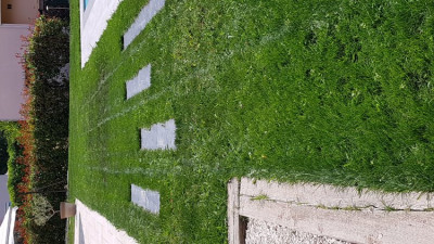 20190622_135559.jpg