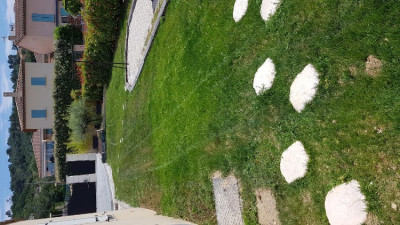 20190622_135621.jpg