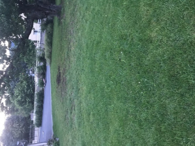 2453D217-380F-44F4-8783-3B35BB80D435.jpeg