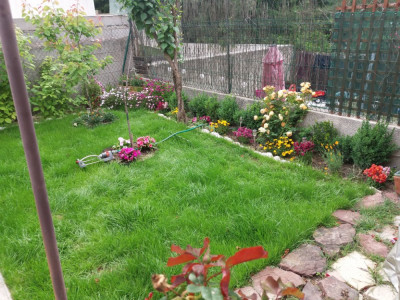 20190516_180720.jpg