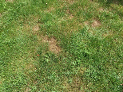 20190707_133146.jpg