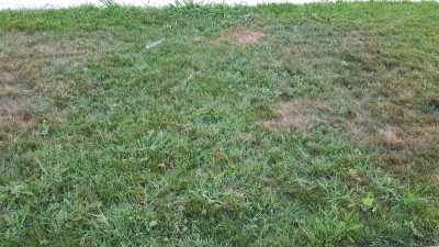 20190708_203131.jpg