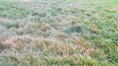 20190708_203108.jpg