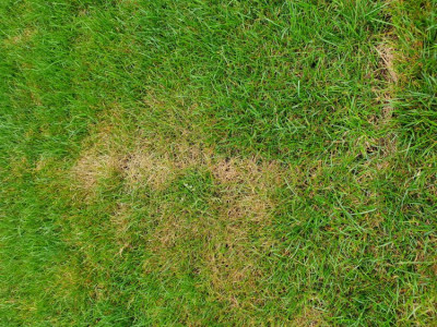 20190714_115341.jpg