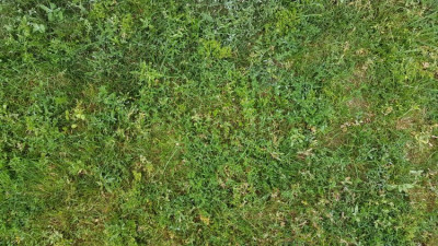 20190719_074948.jpg