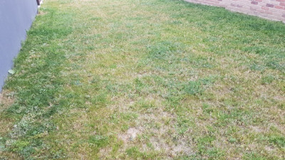 20190719_075054.jpg