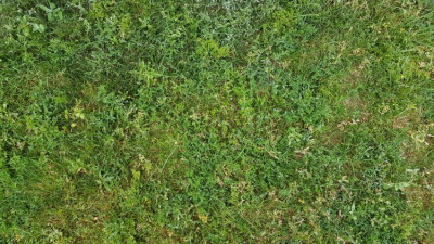 20190719_074948.jpg