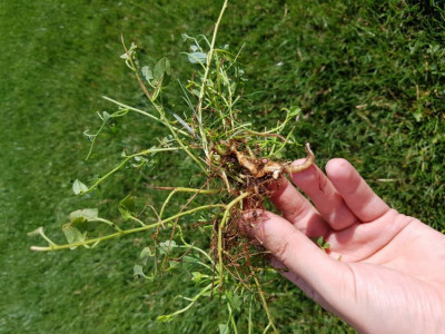 20190720_104201.jpg