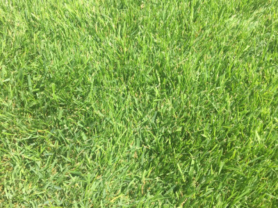 A0B1F380-B912-4671-8373-7780F07AEEE9.jpeg