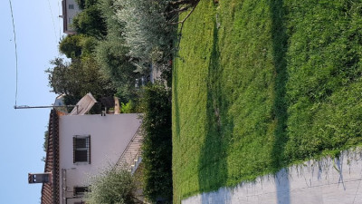 20190802_185155.jpg