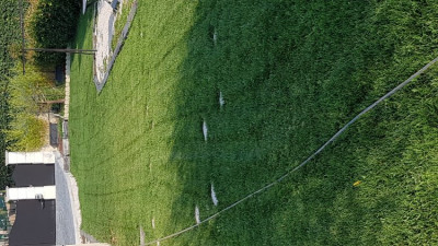 20190802_185214.jpg