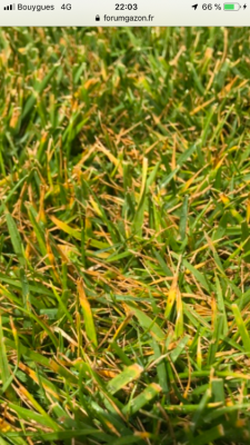 73B01A00-6501-4E0F-809D-B6BDF9A101A9.png