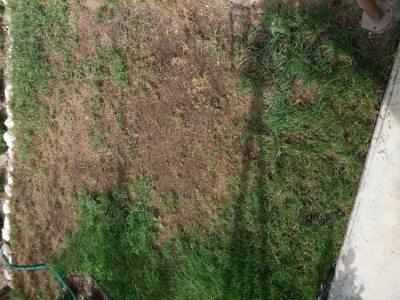 20190818_154755.jpg