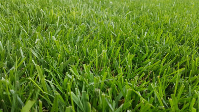 20190812_164028.jpg