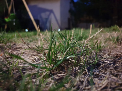 20190821_211219.jpg
