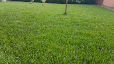 20190812_164024.jpg