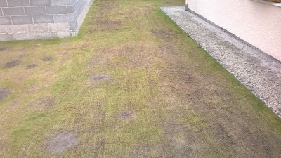 scarification de tous le reste du terrain+ regarn