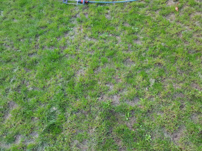 20190823_202250.jpg