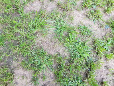 20190823_202527.jpg