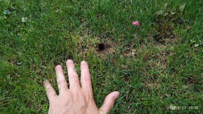 IMG_20190827_191637.jpg