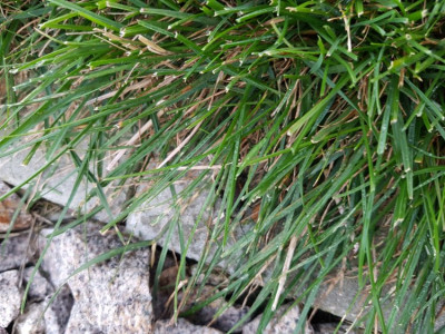 20190903_194841.jpg