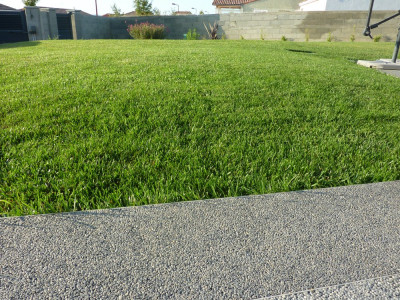 P1070053.JPG