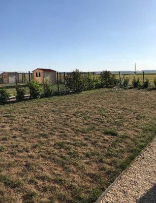 0B937599-D696-4D5D-B6C2-B68B4750498E.jpeg