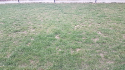 20190911_183230.jpg
