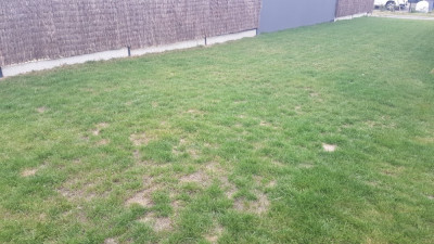 20190911_183248.jpg