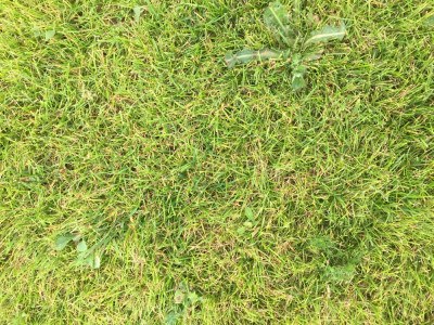 D567D3E9-88B3-4E11-9A51-A1237DD19267.jpeg