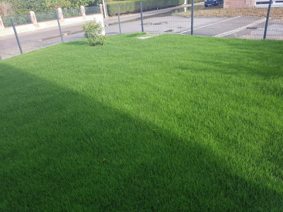 20190927_165442.jpg