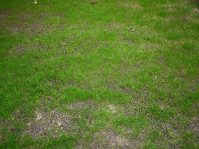 P1160855.JPG