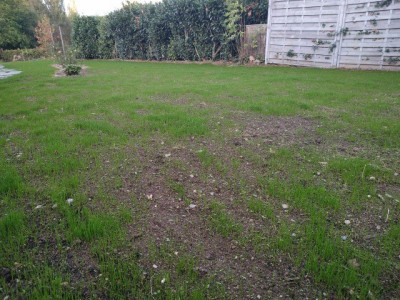 IMG-20191002-191843.jpg