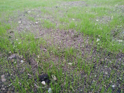 IMG-20191002-191835.jpg