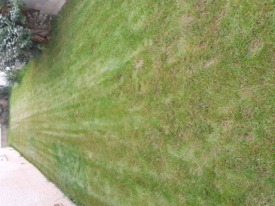 20191011_175501.jpg