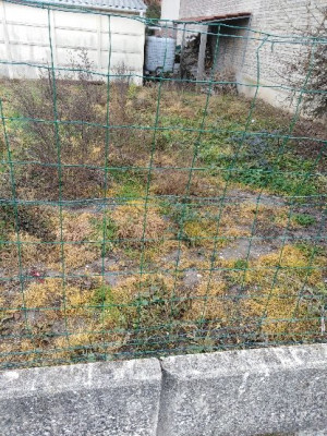 PART_1560793144675.jpg