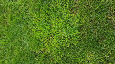 20191024_173659.jpg