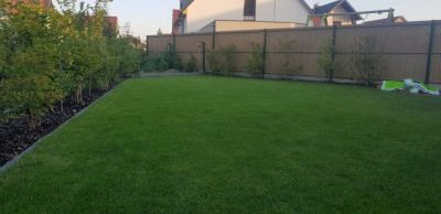 20190715_202155.jpg