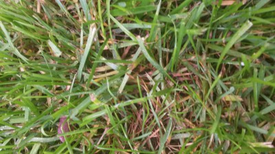 20160427_191510.jpg