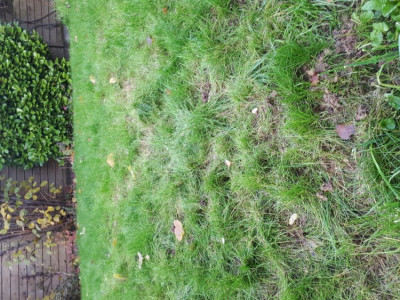 20191126_152958.jpg
