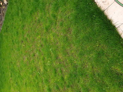 20191123_142516.jpg