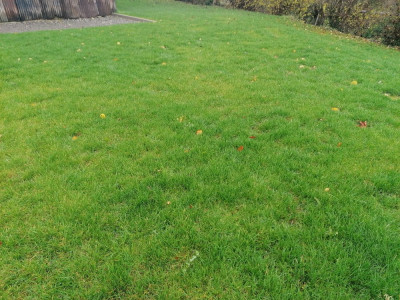 IMG_20191128_121958.jpg
