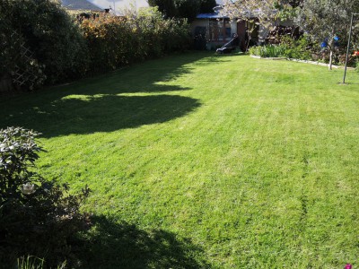 DSCN5478.JPG