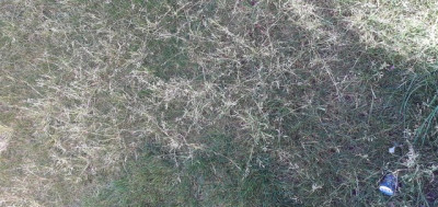 200228113226463428.jpg