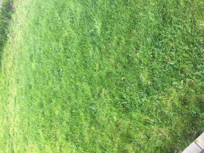 IMG-8020.JPG